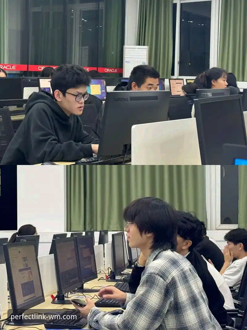 完美体育注册实用指南：从零开始的创新注册流程与体验解析